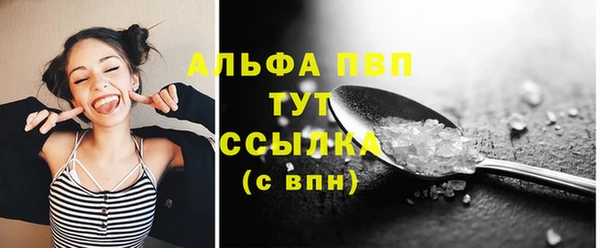 скорость Ельня