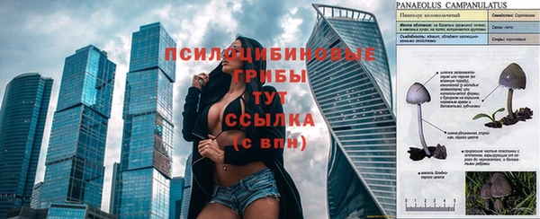 мескалин Елизово